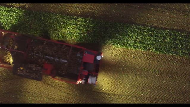 Holmer Terra Dos T4-40 sugar beet harvester near Bredfield in Suffolk - Part 2 смотреть онлайн