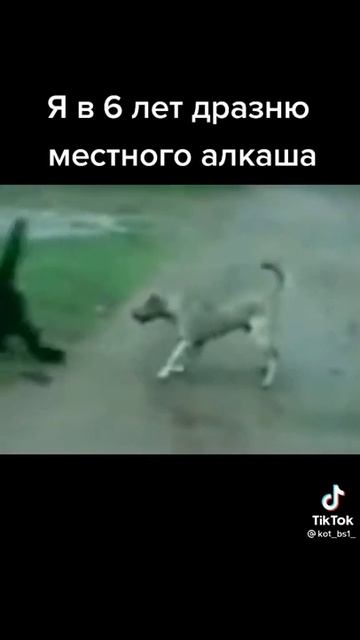 Обезьяна и собака смотреть онлайн