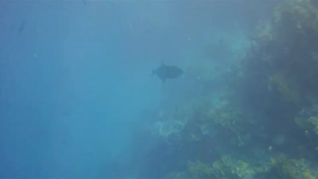 Egypt 2018 смотреть онлайн