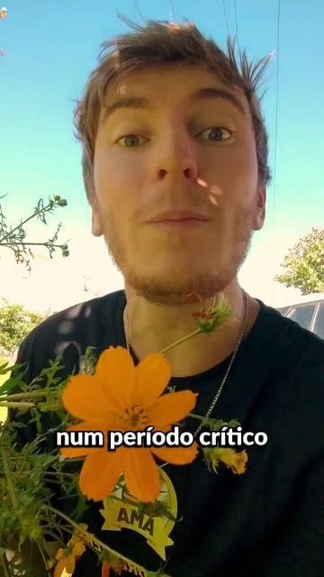 NEM COMEÇA... Vai por mim! #shorts смотреть онлайн