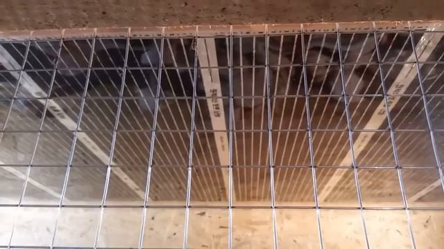 Индюшата в 16 дней! смотреть онлайн