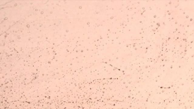 Зарождение жизни на примере дождя смотреть онлайн