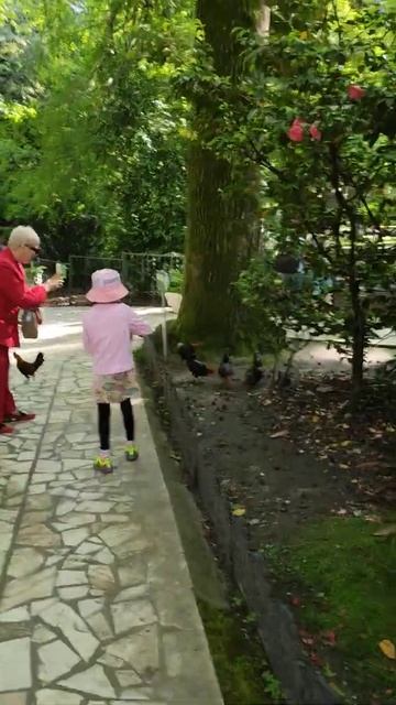 #сочи #дендрарий #птицы смотреть онлайн