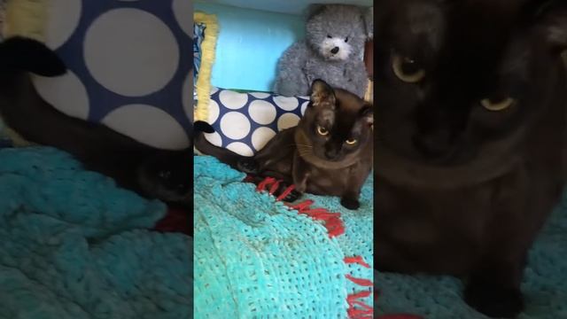 Шёл первый час отцовства.. смотреть онлайн