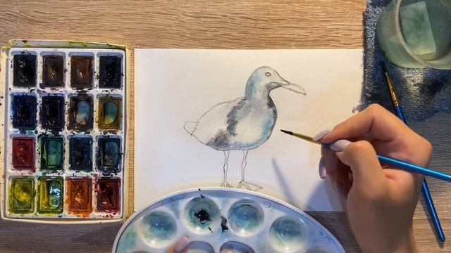 Как нарисовать чайку карандашом и акварелью начинающим | Рисунок для детей смотреть онлайн