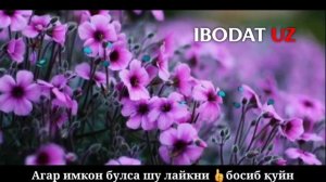 G'or egalari qissasi | Abdulloh domla |Гор эгалари | Абдуллох домла | ilmnuri