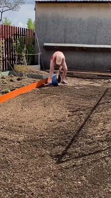 Нет ничего проще, чем посеять газон!