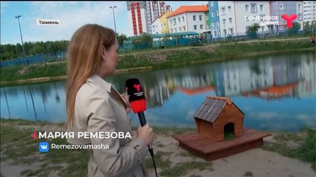 УТКА ТЕПЕРЬ С ДОМОМ смотреть онлайн