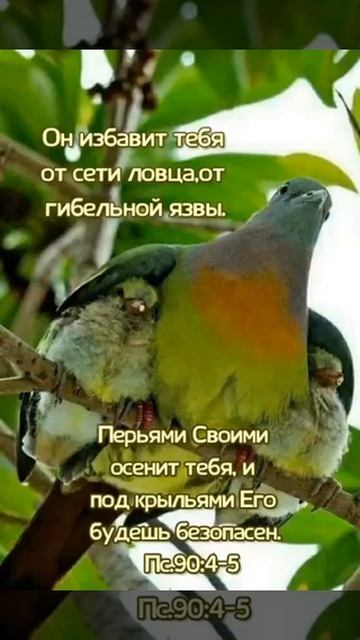 Псалом 90:4-5 👼💓🍯 смотреть онлайн