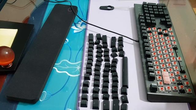 First time i change keycap AKKO for keyboard Cooler Master CK550 V2 смотреть онлайн