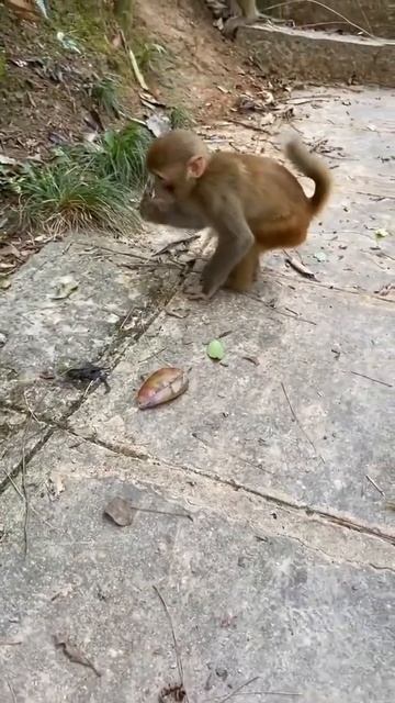 жопа почесал #shorts лучшее смотреть онлайн