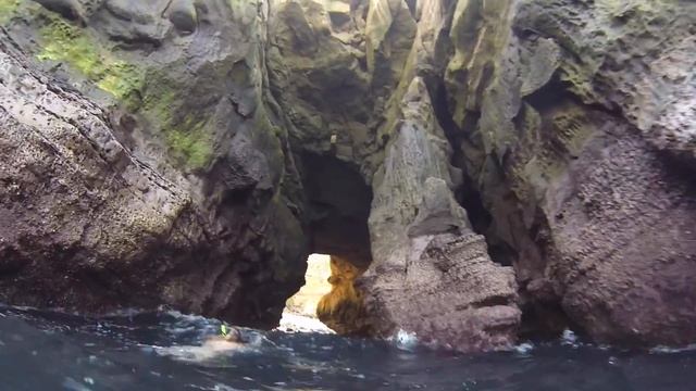 Snorkeling La Jolla Cove смотреть онлайн