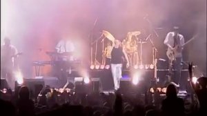 Звери. Районы- кварталы.