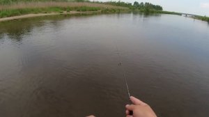 #мормышинг | Плотва, лещи | CF Sub Zero |