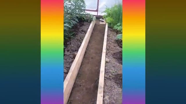 Нашла старинные часы 😱Прячусь в теплице от дождя 😱А хотела поиграть с кисой Алисой ! смотреть онлайн