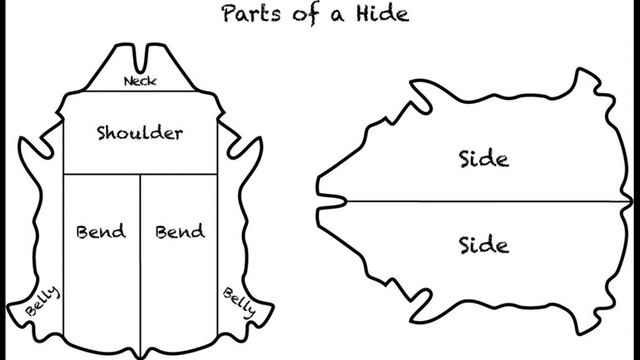 All About a Leather (Hide/Skin) смотреть онлайн