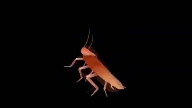 куми куми хаба хаба лака лака смотреть онлайн