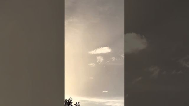 PTERODACTYL SIGHTING!!! смотреть онлайн