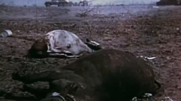 Семей полигоны: 30 жыл ядролық қарусыз