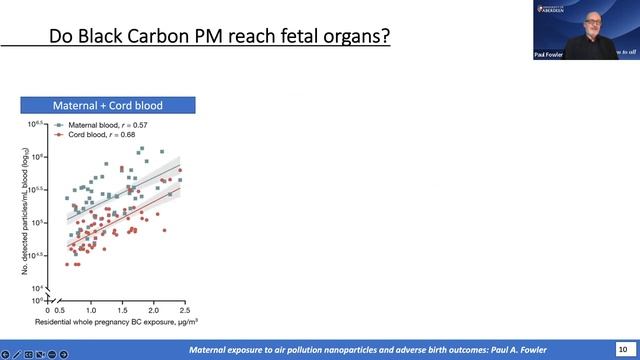 Maternal exposure to air pollution nanoparticles and adverse birth outcomes