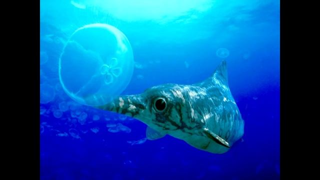 Top 10 Mesozoic marine reptiles смотреть онлайн