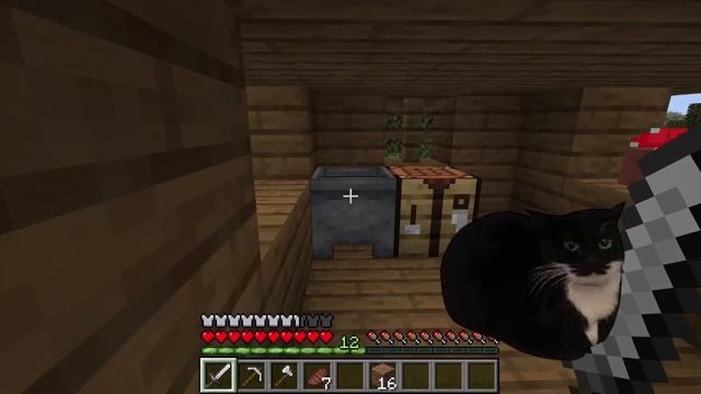 Maxwell The Cat In Minecraft