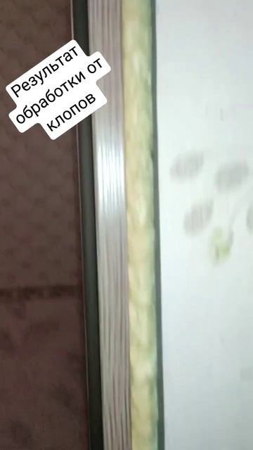 Обработка от клопов в съёмной квартире. #christmas #newearning #дезинфекция #pestcontrol смотреть онлайн