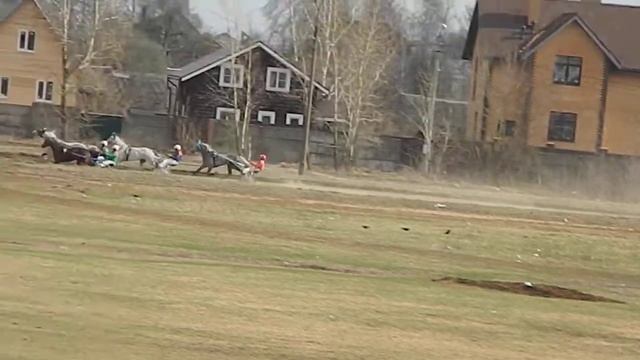 Раменский ипподром 21.04.18 - Квал. - Лошади 2014 г.р. и старшего возраста смотреть онлайн