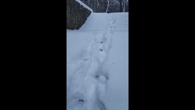 сняг в Хасково смотреть онлайн