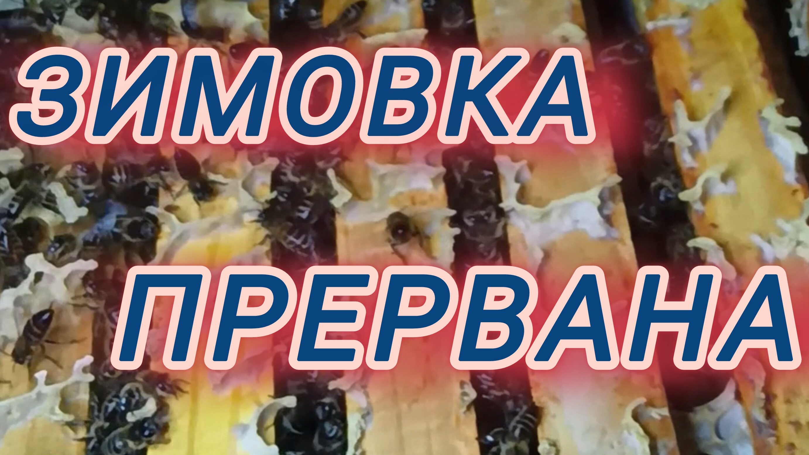 Зимовка прервана смотреть онлайн