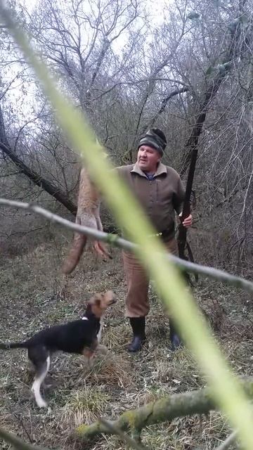 Арфей задушил не добитую лису смотреть онлайн