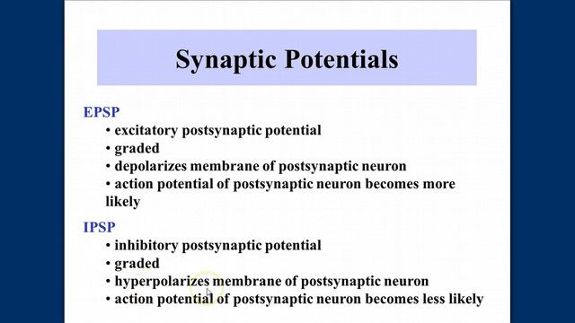Chapter 10: Neurophysiology Part B