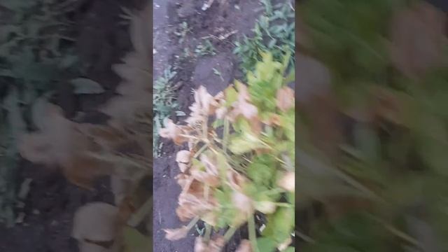 28 сентября 2022 г. смотреть онлайн