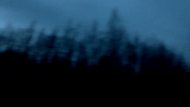 2 мая. Охота на вальдшнепа. смотреть онлайн