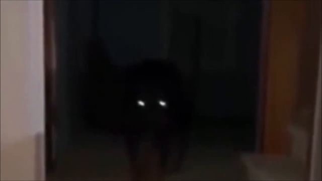 КТО такие SKINWALKERS смотреть онлайн