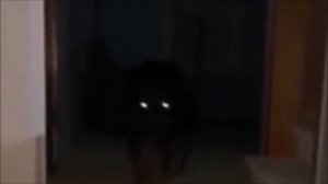 КТО такие SKINWALKERS