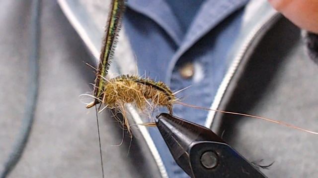 Asellus смотреть онлайн