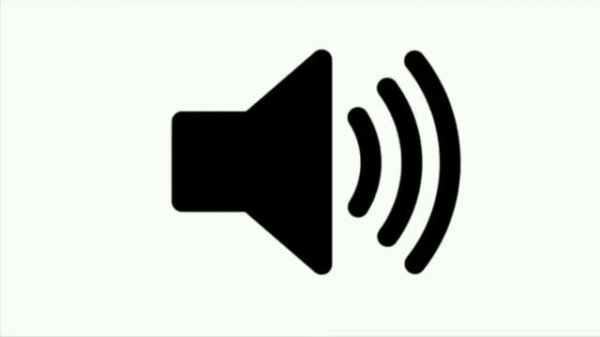 helicopter helicopter 1 hour