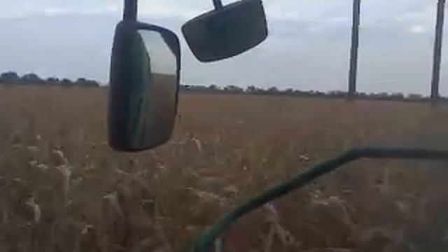 кукурудза комбайн Джон Дір Т-660 платформа Капелло 8-70.урожайність 15т з га смотреть онлайн