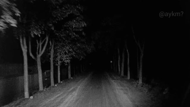 Nick Cave & The Bad Seeds - Henry Lee ft. Pj Harvey (legendado) смотреть онлайн