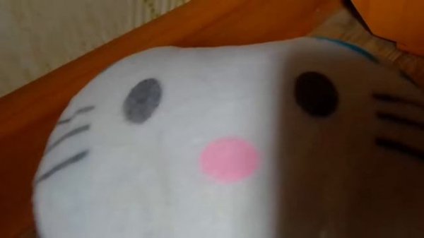 СТАЛИ ФУТБОЛИСТАМИ НА 24 ЧАСА !