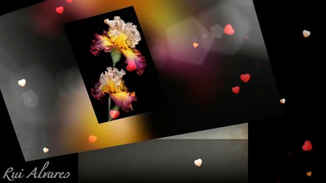 Passage into Midnight смотреть онлайн