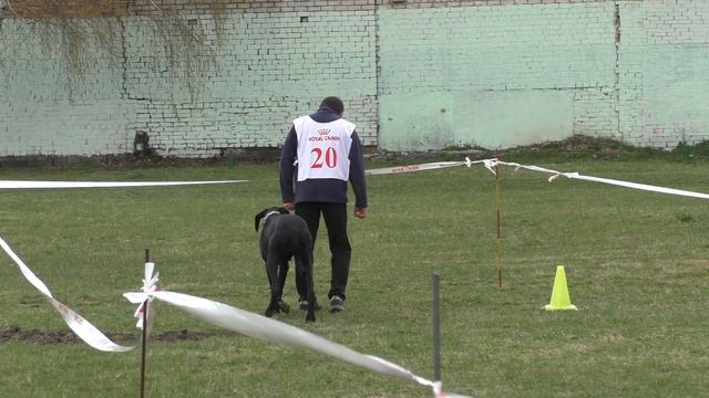 00073 смотреть онлайн