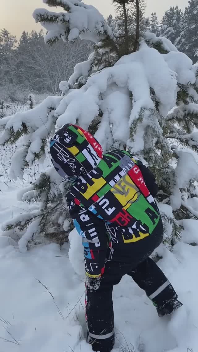 Красивый заснеженный лес в Сибири. смотреть онлайн