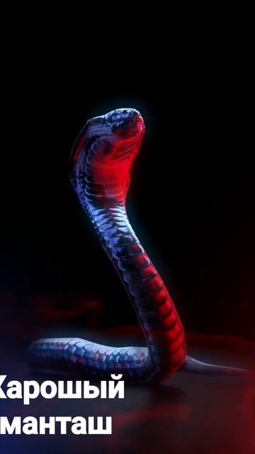 змей смотреть онлайн