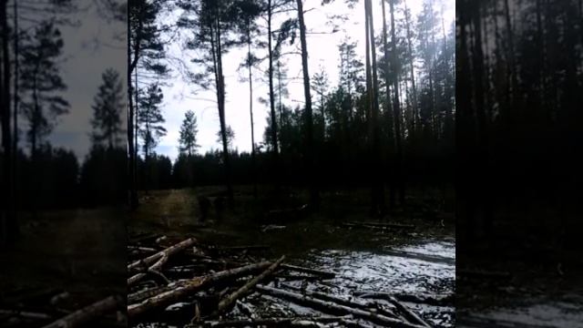 Не пей не кури Живи спортом смотреть онлайн