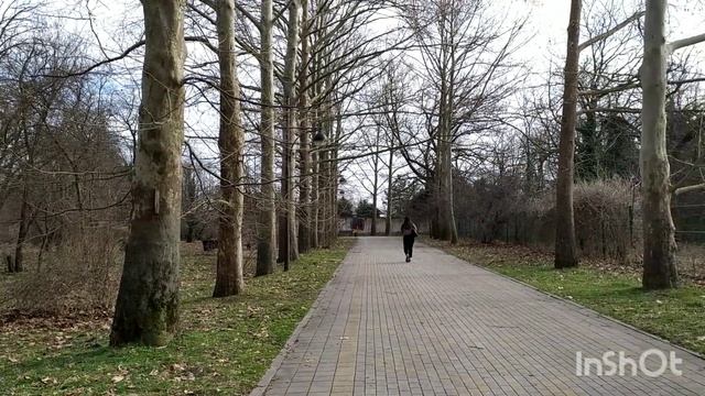 Чудесная прогулка по дендрарию.#февраль#Краснодар