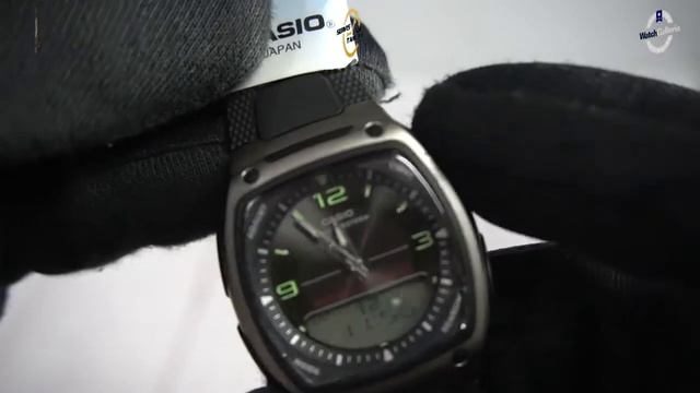 JAM TANGAN CASIO GENERAL AW 81 1A1VDF / AW-81-1A1VDF UNBOXING - GROSIRJAMTANGAN.COM