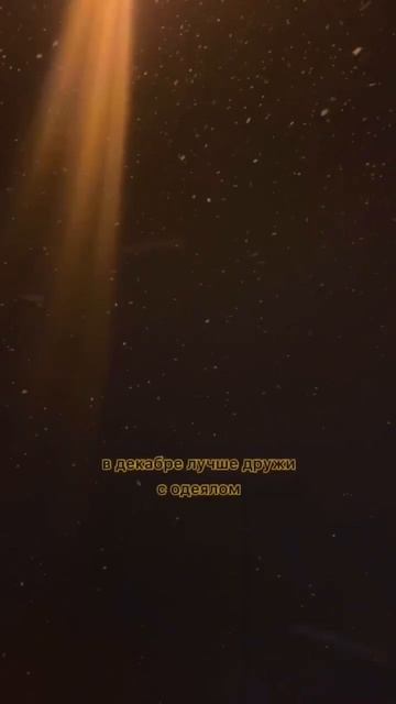 в декабре. смотреть онлайн