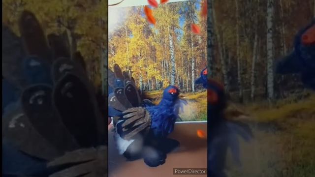 Улар уонна куртуйах смотреть онлайн